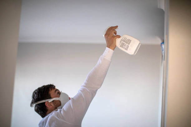 Best Attic Mold Removal  in Bellair Meadowbrook Terrace, FL